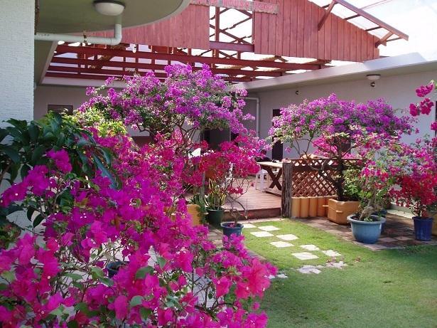 Patio House Reef 호텔 자마미 외부 사진